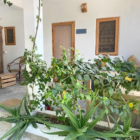 Bondeni Beach House Jambiani  Exterior photo
